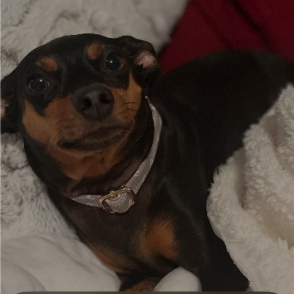 Meet your Posher, Regina - Picture 2 of 10